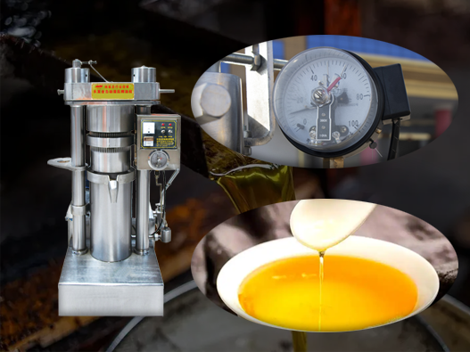 60Mpa Max Working Pressure 6YY-185 Model Cold Oil Press Machine